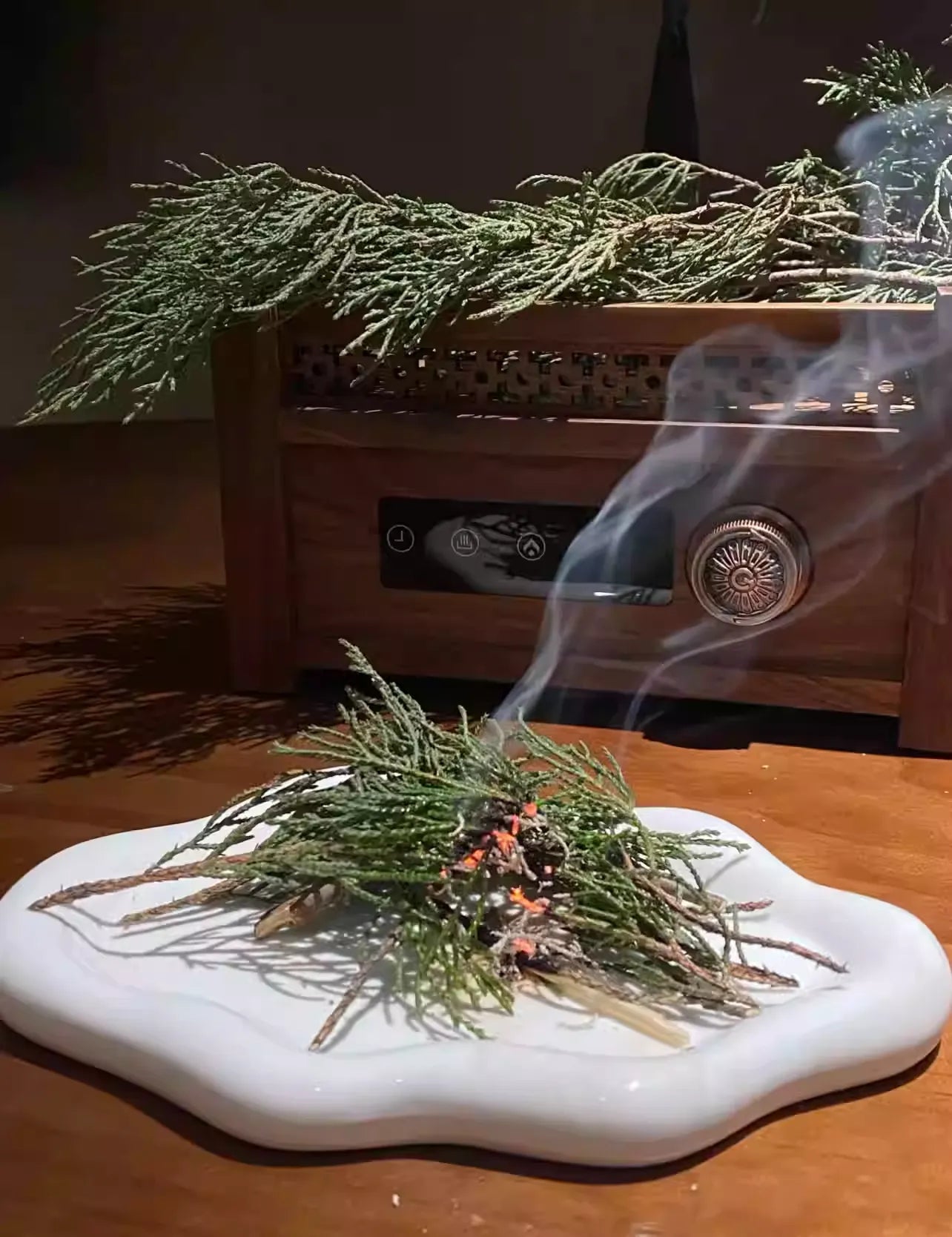 Arborvitae Smoke Bundle – Natural Botanical Incense